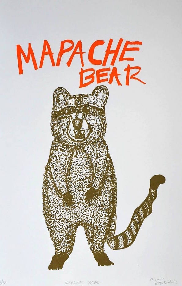 Mapache Bear